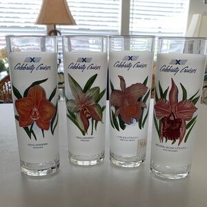 Set Of (4) Frosted Celebrity Cruises 12-ounce Bar Highball Glasses 7” Tall